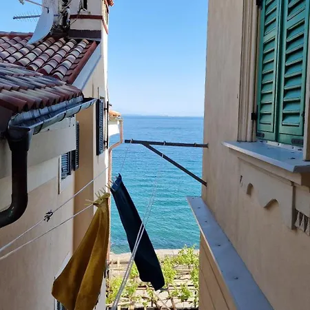 Divine Apartment